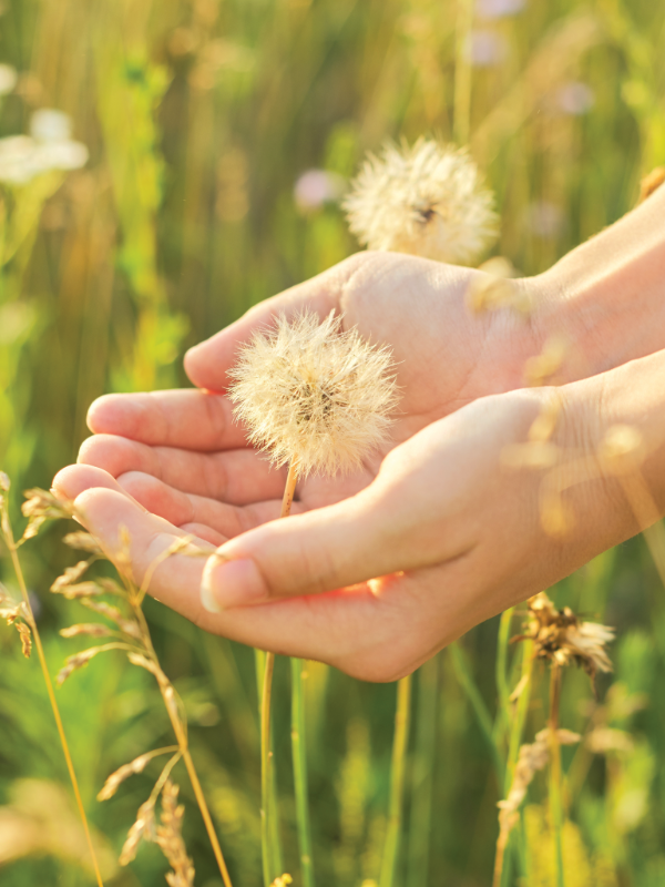 Systemische Therapie Ulm Christina Heim
